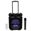 KTS-1163 KTS wireless portable bt speaker with TWS&FM&USB