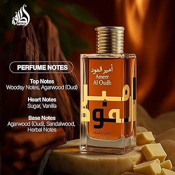 Ameer Al Oudh