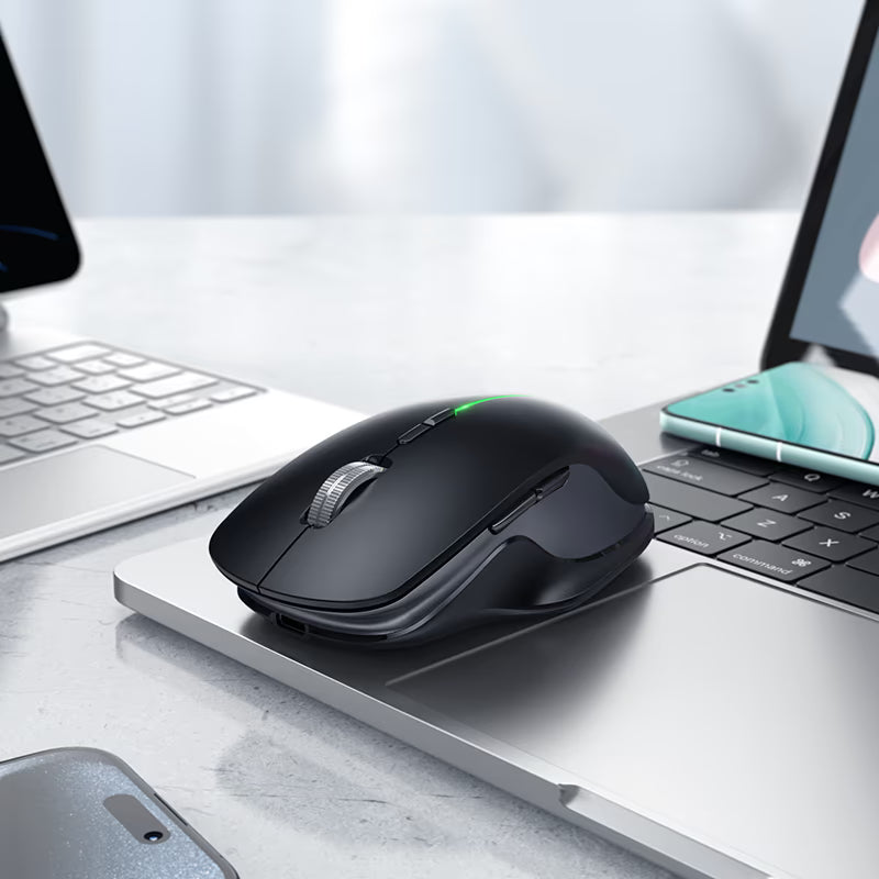 Mouse Gm40