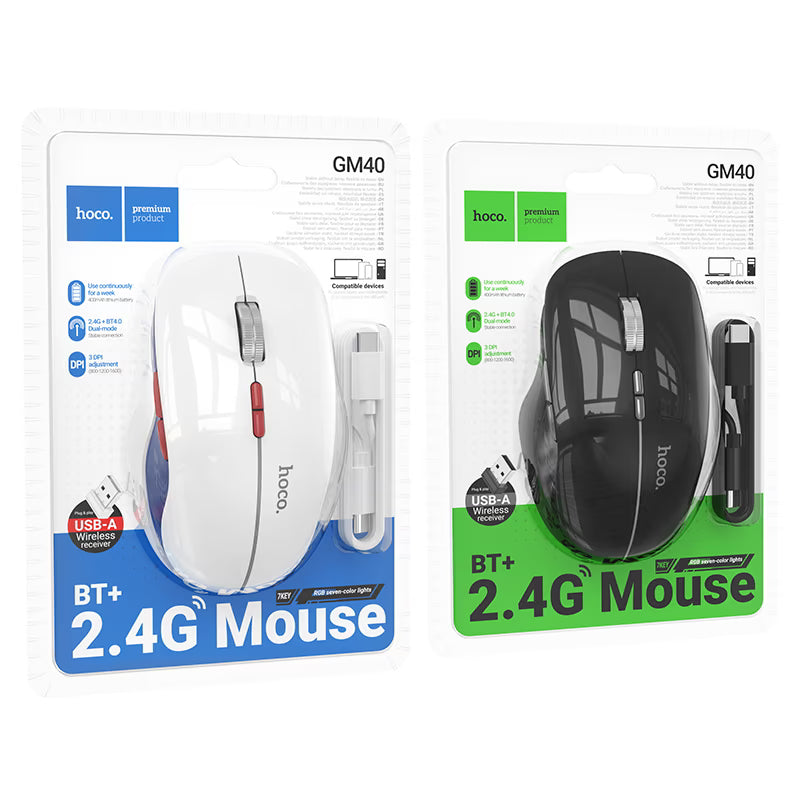 Mouse Gm40